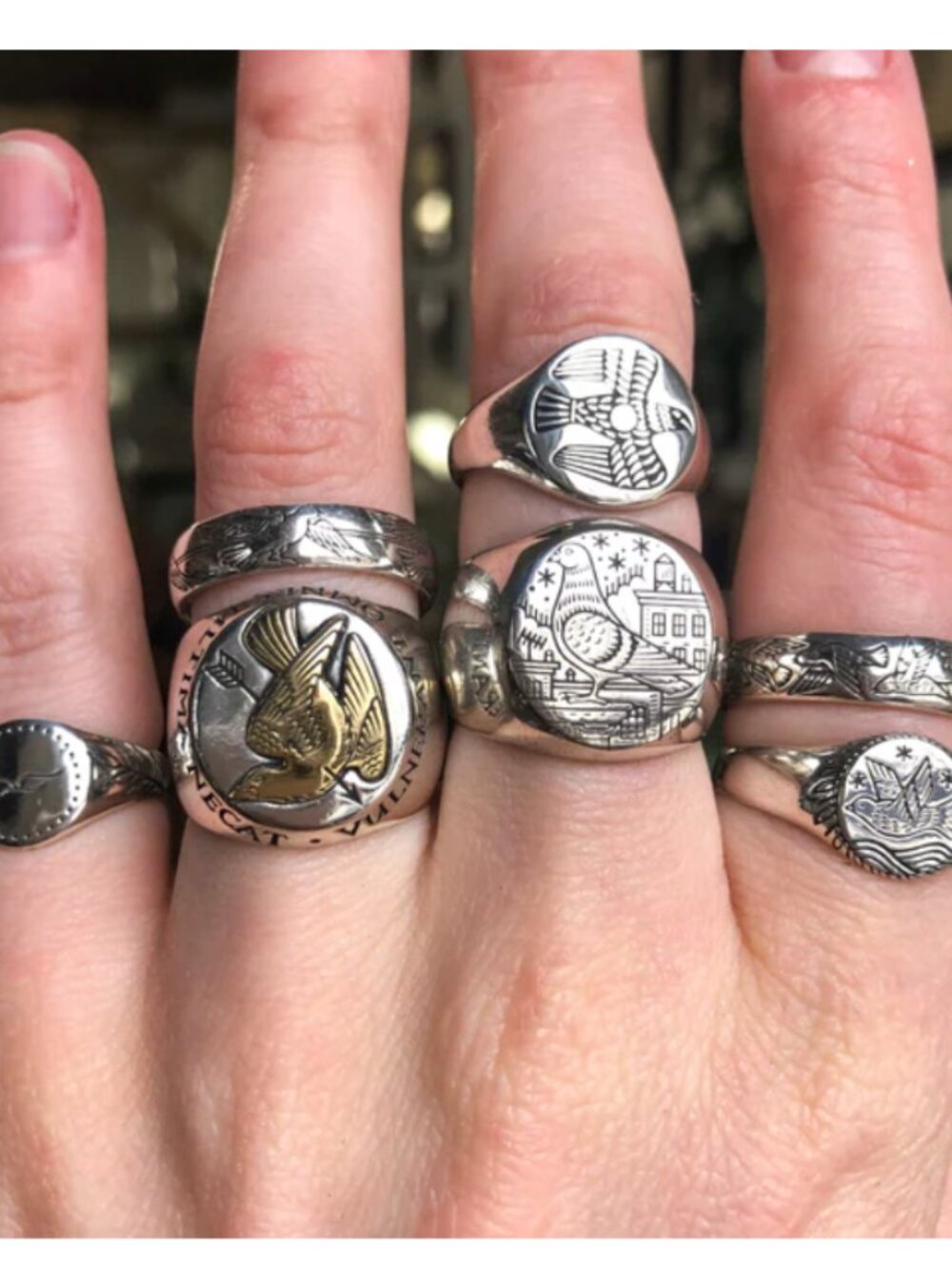 Digby & Iona pigeon signet ring